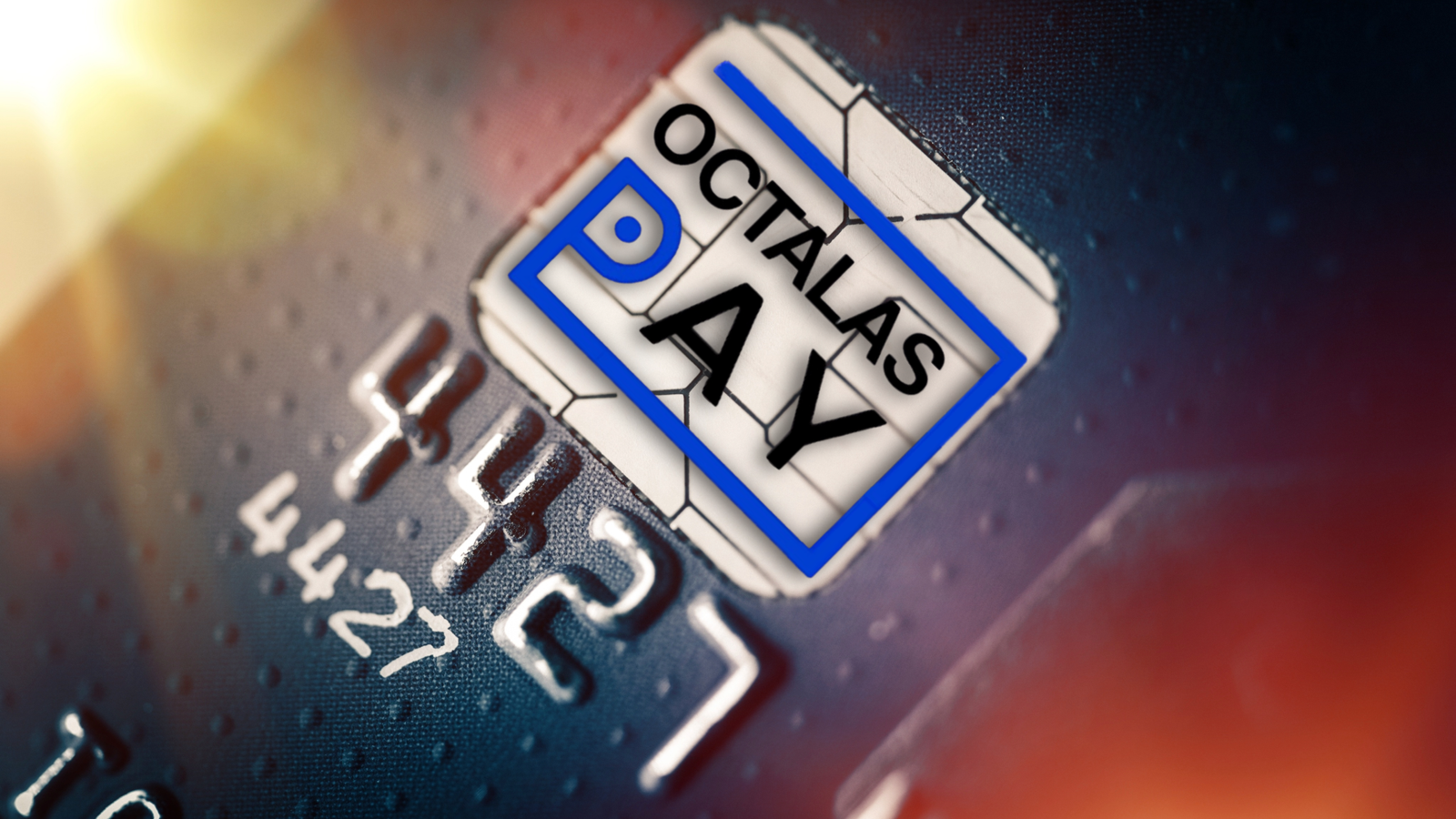 Octalas Pay